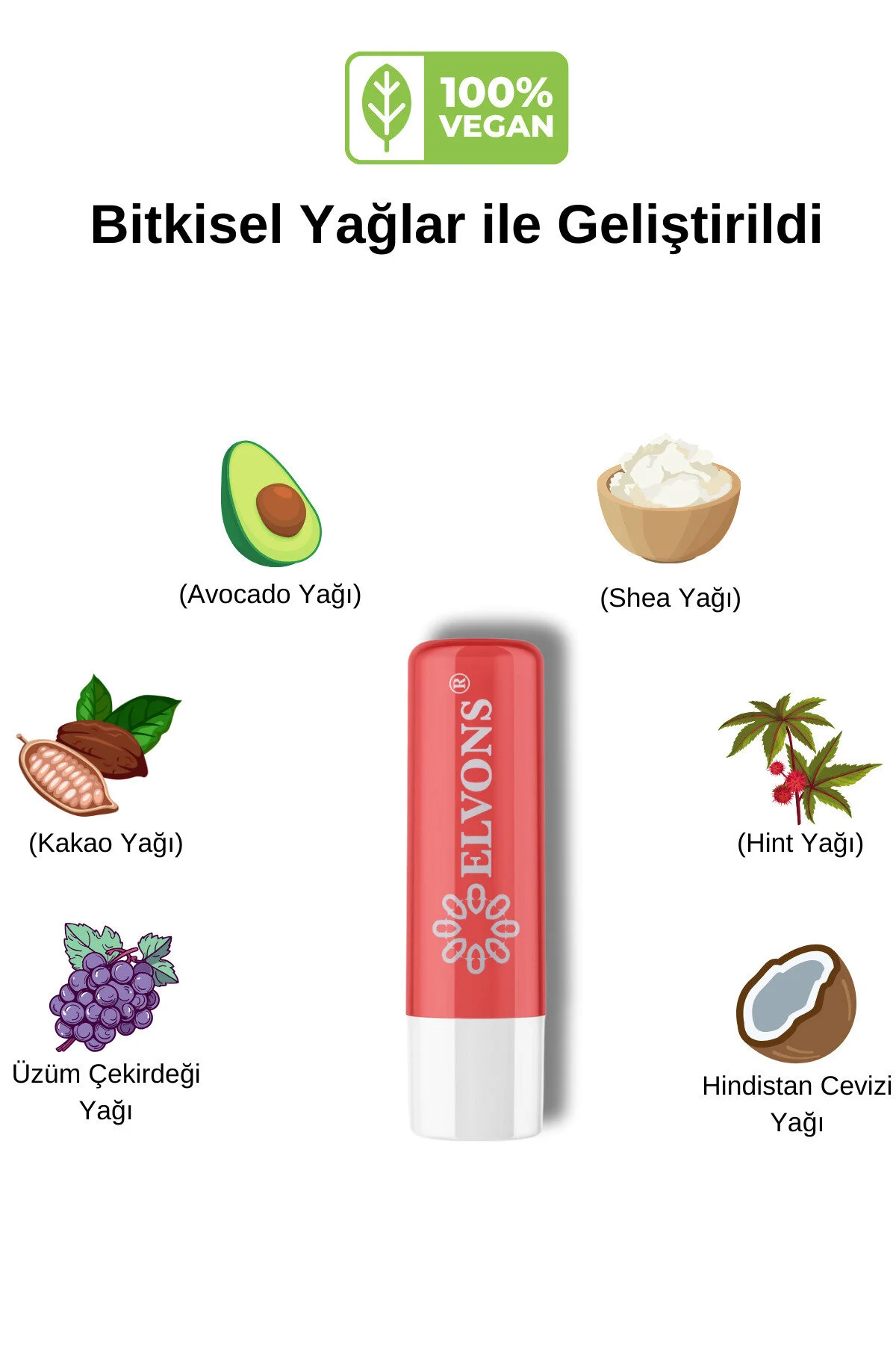 Lip Balm Dudak Bakım Kremi
